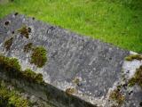 image of grave number 919805